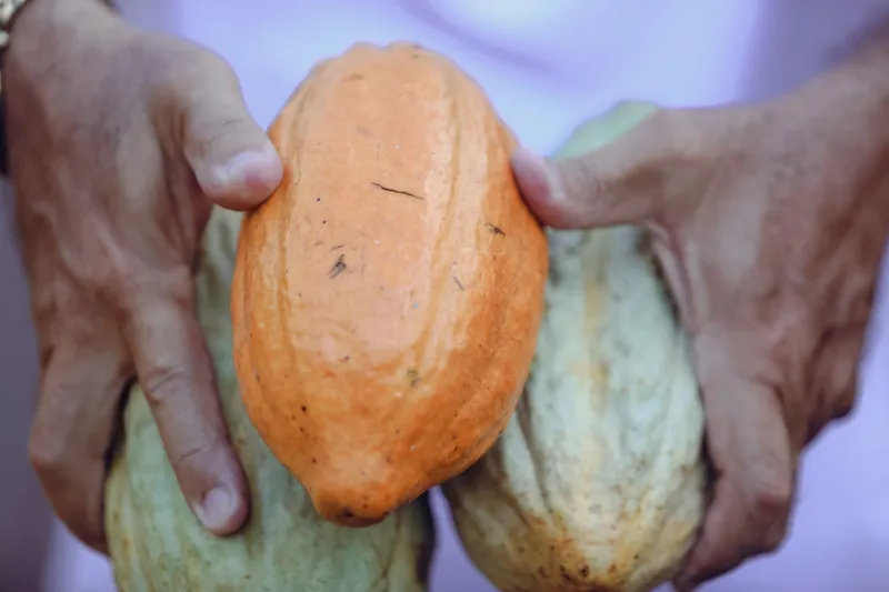 Good Beans, Good Games: What Ethical Chocolate and Fair Gaming Have in Common