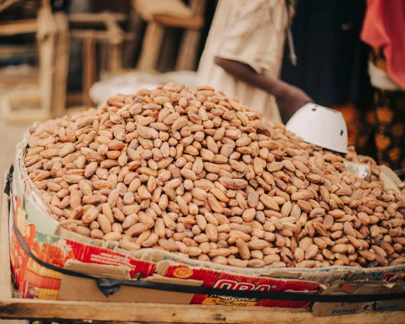 Certified Delicious: What Fair-Trade Cocoa Can Teach Aussie Gamblers About Trusting Their Casino